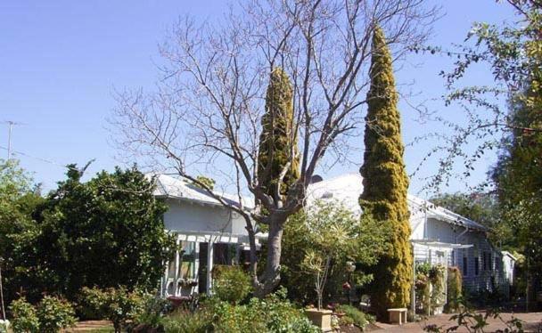 Jacaranda Guest House Busselton Exteriör bild
