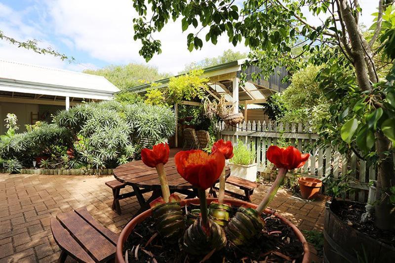 Jacaranda Guest House Busselton Exteriör bild